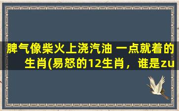 脾气像柴火上浇汽油 一点就着的生肖(易怒的12生肖，谁是zui容易“*”的？)